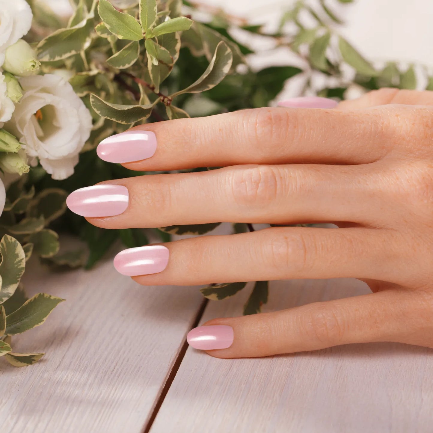 Spring Pastel Combo