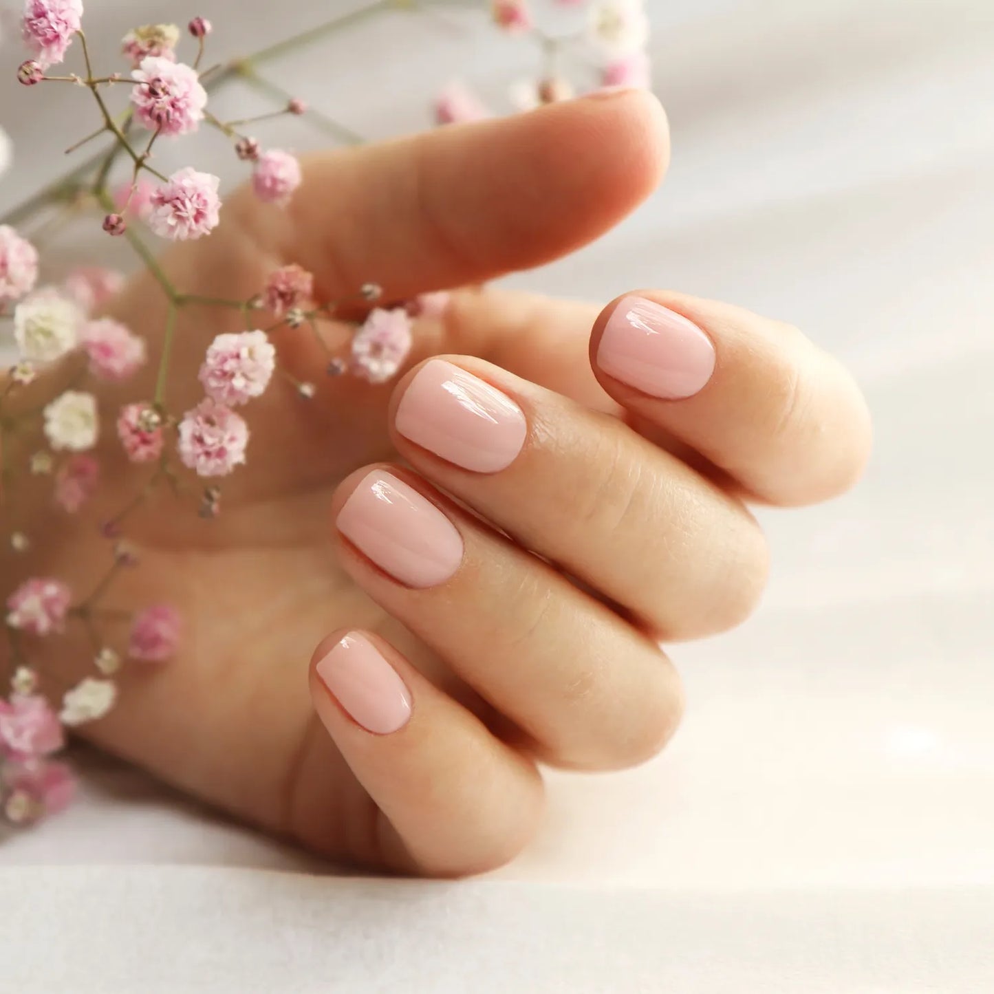Whispering Pink Rose