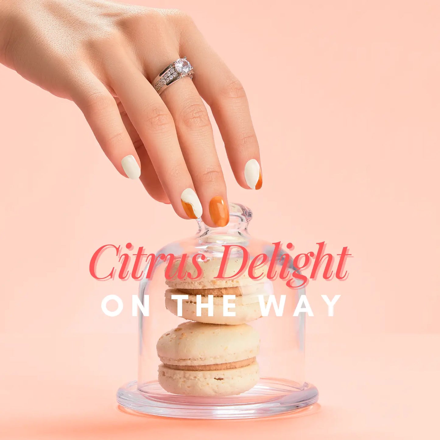 Citrus Delight on the Way